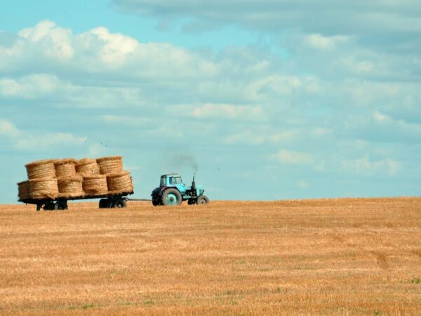 agricultural loan