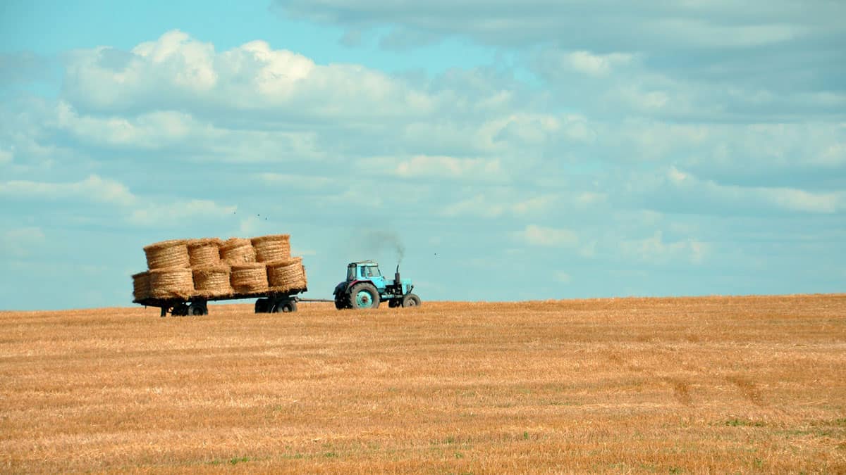agricultural loan